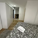 Cozy Downtown Guesthouse
